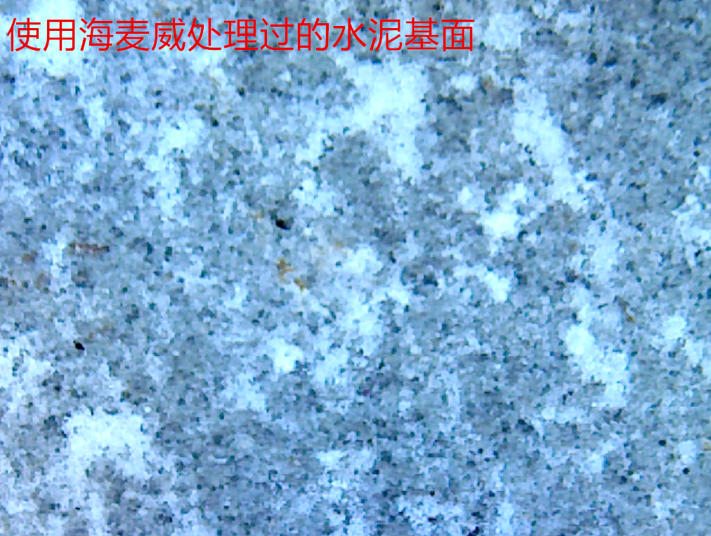 1540973583104920.png 46917788333869039.png